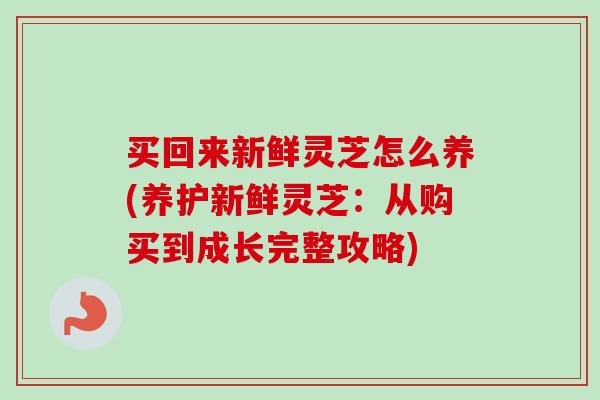 买回来新鲜灵芝怎么养(养护新鲜灵芝:从购买到成长完整攻略) 买回来新鲜灵芝怎么养(养护新鲜灵芝:从购买到成长完整攻略)