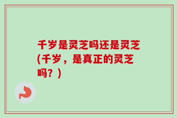 千岁是灵芝吗还是灵芝(千岁,是真正的灵芝吗?) 千岁是灵芝吗还是灵芝(千岁,是真正的灵芝吗?)