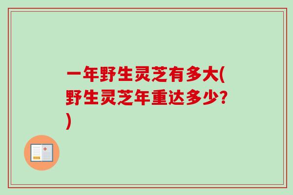 一年野生灵芝有多大(野生灵芝年重达多少？)