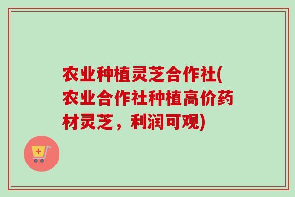 农业种植灵芝合作社(农业合作社种植高价药材灵芝,利润可观) 农业种植灵芝合作社(农业合作社种植高价药材灵芝,利润可观)