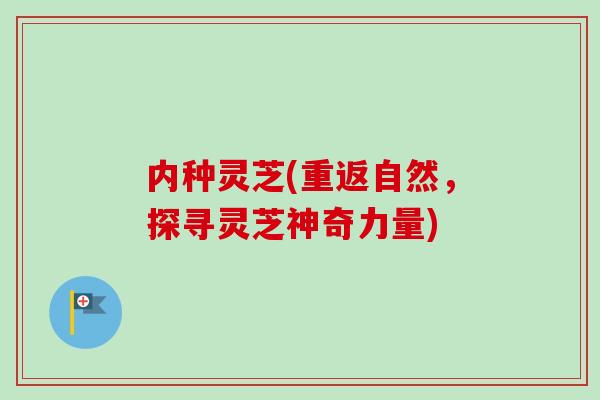 内种灵芝(重返自然，探寻灵芝神奇力量)