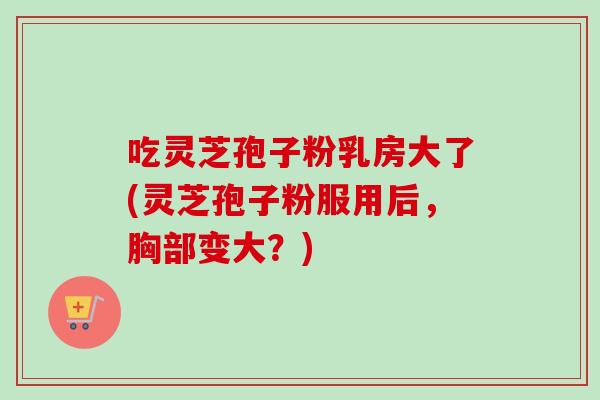 吃灵芝孢子粉乳房大了(灵芝孢子粉服用后，胸部变大？)