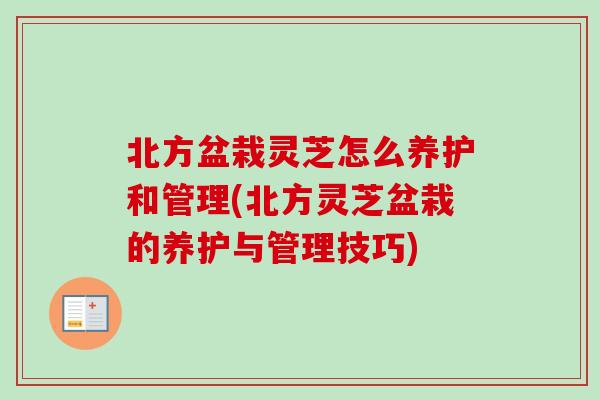 北方盆栽灵芝怎么养护和管理(北方灵芝盆栽的养护与管理技巧) 北方盆栽灵芝怎么养护和管理(北方灵芝盆栽的养护与管理技巧)