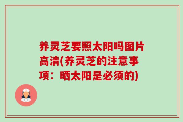 养灵芝要照太阳吗图片高清(养灵芝的注意事项:晒太阳是必须的) 养灵芝要照太阳吗图片高清(养灵芝的注意事项:晒太阳是必须的)