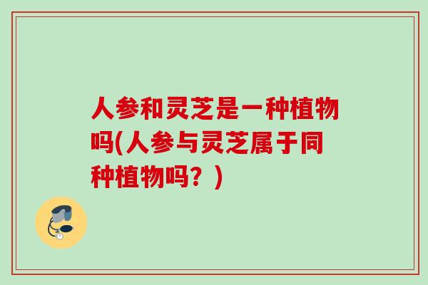人参和灵芝是一种植物吗(人参与灵芝属于同种植物吗?) 人参和灵芝是一种植物吗(人参与灵芝属于同种植物吗?)
