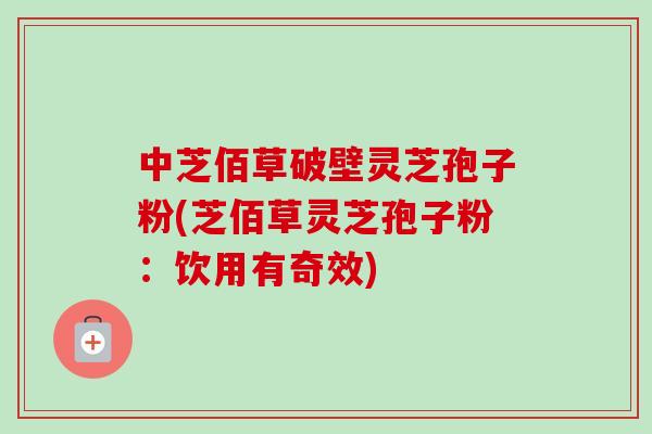中芝佰草破壁灵芝孢子粉(芝佰草灵芝孢子粉:饮用有奇效) 中芝佰草破壁灵芝孢子粉(芝佰草灵芝孢子粉:饮用有奇效)