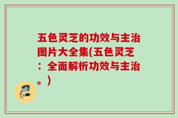 五色灵芝的功效与主图片大全集(五色灵芝:全面解析功效与主。) 五色灵芝的功效与主图片大全集(五色灵芝:全面解析功效与主。)