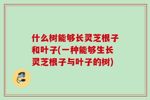 什么树能够长灵芝根子和叶子(一种能够生长灵芝根子与叶子的树)