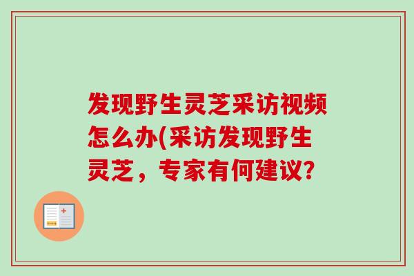 发现野生灵芝采访视频怎么办(采访发现野生灵芝，专家有何建议？