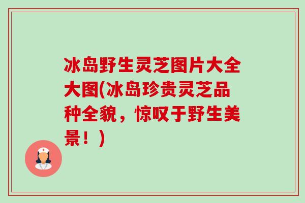 冰岛野生灵芝图片大全大图(冰岛珍贵灵芝品种全貌,惊叹于野生美景!) 冰岛野生灵芝图片大全大图(冰岛珍贵灵芝品种全貌,惊叹于野生美景!)