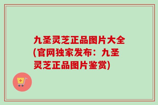 九圣灵芝正品图片大全(官网独家发布:九圣灵芝正品图片鉴赏) 九圣灵芝正品图片大全(官网独家发布:九圣灵芝正品图片鉴赏)