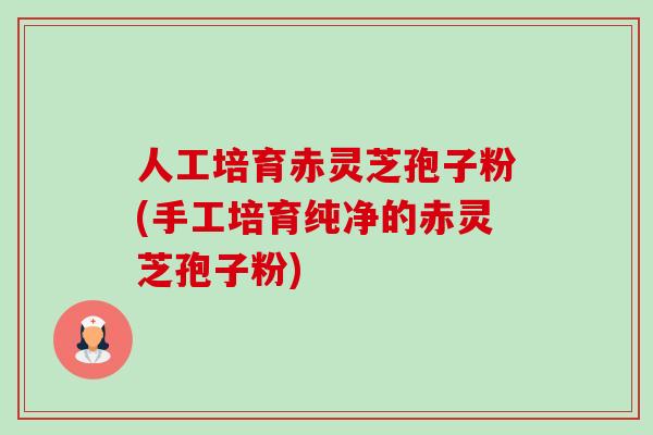人工培育赤灵芝孢子粉(手工培育纯净的赤灵芝孢子粉) 人工培育赤灵芝孢子粉(手工培育纯净的赤灵芝孢子粉)