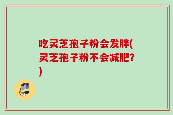 吃灵芝孢子粉会发胖(灵芝孢子粉不会?) 吃灵芝孢子粉会发胖(灵芝孢子粉不会?)