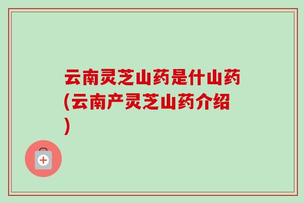 云南灵芝山药是什山药(云南产灵芝山药介绍) 云南灵芝山药是什山药(云南产灵芝山药介绍)