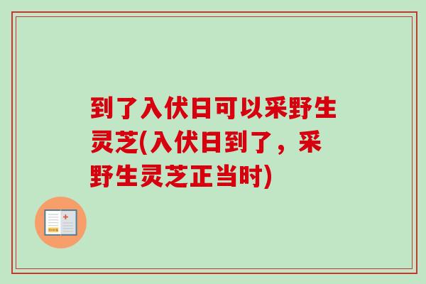 到了入伏日可以采野生灵芝(入伏日到了,采野生灵芝正当时) 到了入伏日可以采野生灵芝(入伏日到了,采野生灵芝正当时)