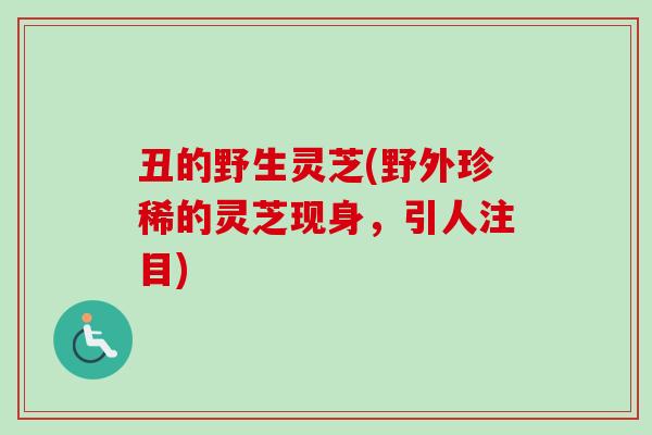 丑的野生灵芝(野外珍稀的灵芝现身,引人注目) 丑的野生灵芝(野外珍稀的灵芝现身,引人注目)
