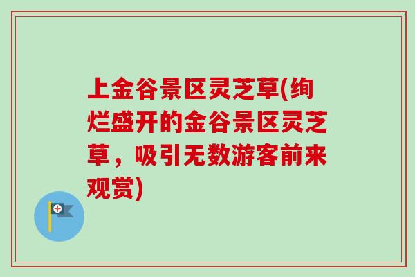 上金谷景区灵芝草(绚烂盛开的金谷景区灵芝草，吸引无数游客前来观赏)