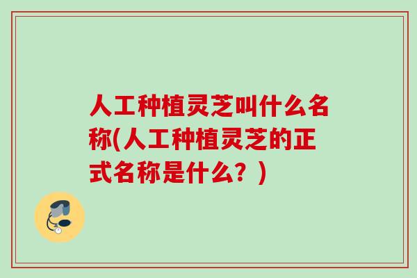 人工种植灵芝叫什么名称(人工种植灵芝的正式名称是什么?) 人工种植灵芝叫什么名称(人工种植灵芝的正式名称是什么?)
