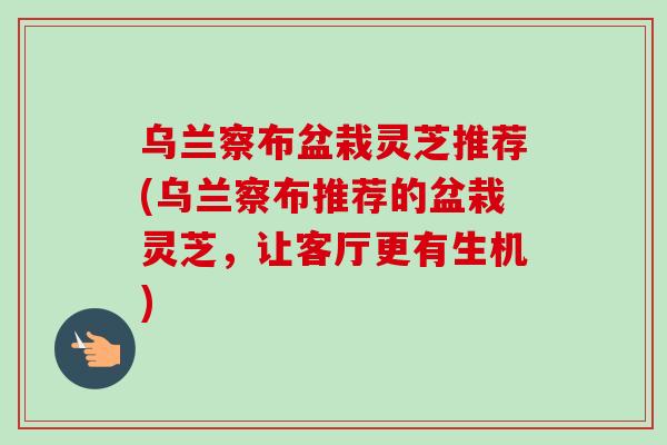 乌兰察布盆栽灵芝推荐(乌兰察布推荐的盆栽灵芝，让客厅更有生机)