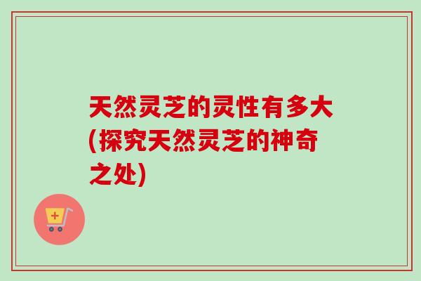 天然灵芝的灵性有多大(探究天然灵芝的神奇之处) 天然灵芝的灵性有多大(探究天然灵芝的神奇之处)