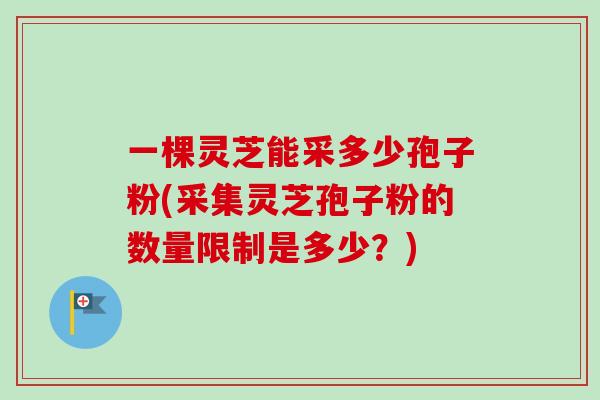一棵灵芝能采多少孢子粉(采集灵芝孢子粉的数量限制是多少?) 一棵灵芝能采多少孢子粉(采集灵芝孢子粉的数量限制是多少?)