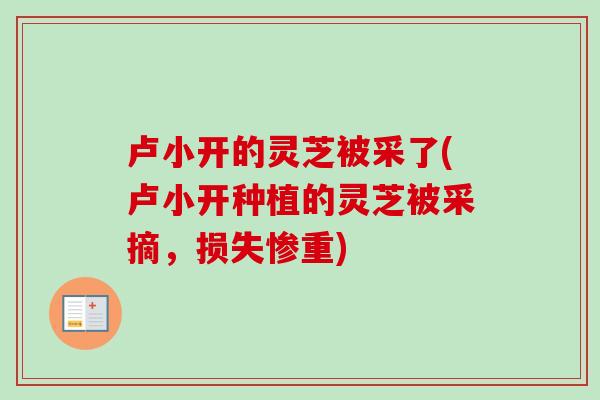 卢小开的灵芝被采了(卢小开种植的灵芝被采摘,损失惨重) 卢小开的灵芝被采了(卢小开种植的灵芝被采摘,损失惨重)
