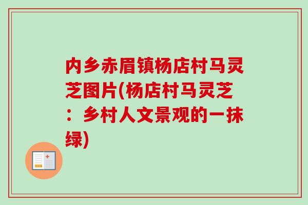 内乡赤眉镇杨店村马灵芝图片(杨店村马灵芝:乡村人文景观的一抹绿) 内乡赤眉镇杨店村马灵芝图片(杨店村马灵芝:乡村人文景观的一抹绿)