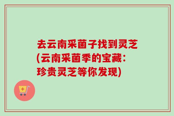 去云南采菌子找到灵芝(云南采菌季的宝藏：珍贵灵芝等你发现)