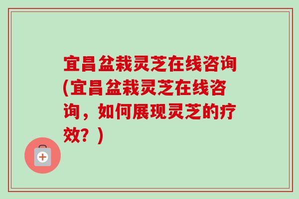 宜昌盆栽灵芝在线咨询(宜昌盆栽灵芝在线咨询，如何展现灵芝的疗效？)