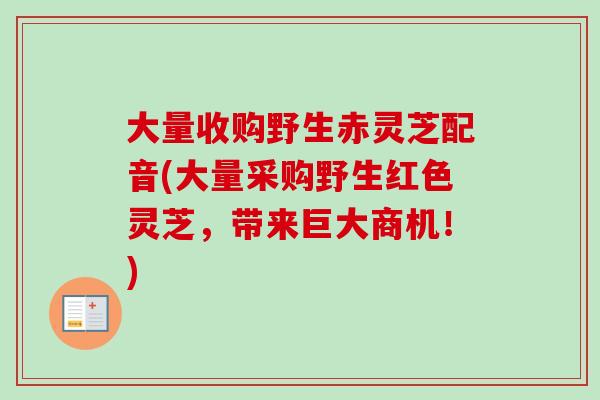 大量收购野生赤灵芝配音(大量采购野生红色灵芝,带来巨大商机!) 大量收购野生赤灵芝配音(大量采购野生红色灵芝,带来巨大商机!)