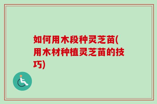 如何用木段种灵芝苗(用木材种植灵芝苗的技巧)