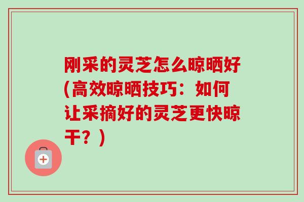 刚采的灵芝怎么晾晒好(高效晾晒技巧：如何让采摘好的灵芝更快晾干？)