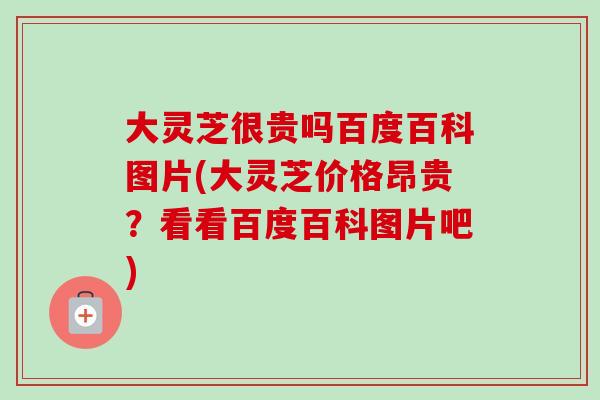 大灵芝很贵吗百度百科图片(大灵芝价格昂贵?看看百度百科图片吧) 大灵芝很贵吗百度百科图片(大灵芝价格昂贵?看看百度百科图片吧)