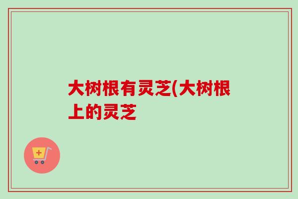 大树根有灵芝(大树根上的灵芝 大树根有灵芝(大树根上的灵芝