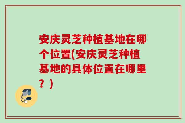 安庆灵芝种植基地在哪个位置(安庆灵芝种植基地的具体位置在哪里？)