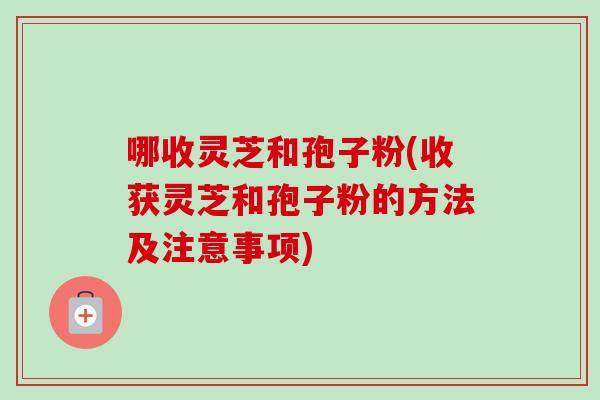 哪收灵芝和孢子粉(收获灵芝和孢子粉的方法及注意事项) 哪收灵芝和孢子粉(收获灵芝和孢子粉的方法及注意事项)