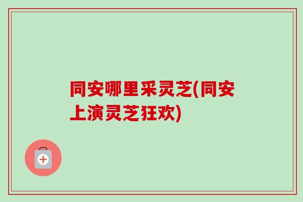 同安哪里采灵芝(同安上演灵芝狂欢) 同安哪里采灵芝(同安上演灵芝狂欢)