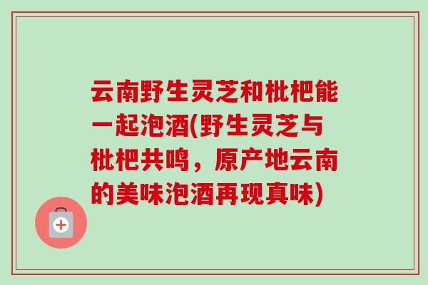 云南野生灵芝和枇杷能一起泡酒(野生灵芝与枇杷共鸣,原产地云南的美味泡酒再现真味) 云南野生灵芝和枇杷能一起泡酒(野生灵芝与枇杷共鸣,原产地云南的美味泡酒再现真味)