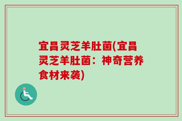 宜昌灵芝羊肚菌(宜昌灵芝羊肚菌:神奇营养食材来袭) 宜昌灵芝羊肚菌(宜昌灵芝羊肚菌:神奇营养食材来袭)