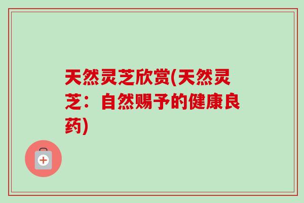 天然灵芝欣赏(天然灵芝:自然赐予的健康良药) 天然灵芝欣赏(天然灵芝:自然赐予的健康良药)