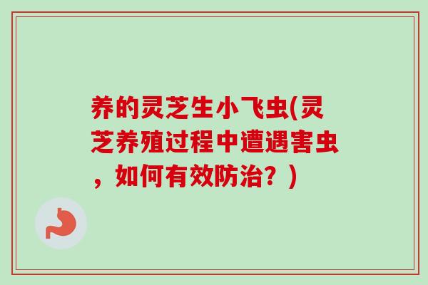 养的灵芝生小飞虫(灵芝养殖过程中遭遇害虫，如何有效防？)
