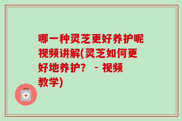 哪一种灵芝更好养护呢视频讲解(灵芝如何更好地养护? - 视频教学) 哪一种灵芝更好养护呢视频讲解(灵芝如何更好地养护? - 视频教学)