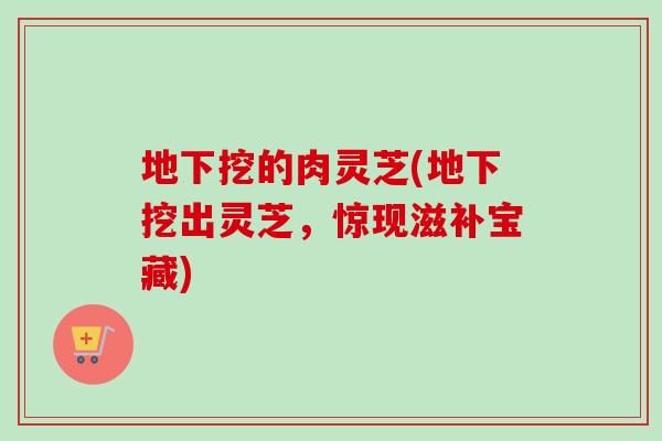 地下挖的肉灵芝(地下挖出灵芝,惊现滋补宝藏) 地下挖的肉灵芝(地下挖出灵芝,惊现滋补宝藏)