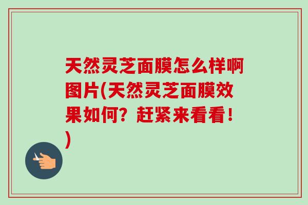 天然灵芝面膜怎么样啊图片(天然灵芝面膜效果如何?赶紧来看看!) 天然灵芝面膜怎么样啊图片(天然灵芝面膜效果如何?赶紧来看看!)