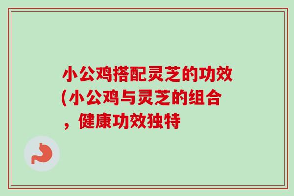 小公鸡搭配灵芝的功效(小公鸡与灵芝的组合,健康功效独特 小公鸡搭配灵芝的功效(小公鸡与灵芝的组合,健康功效独特