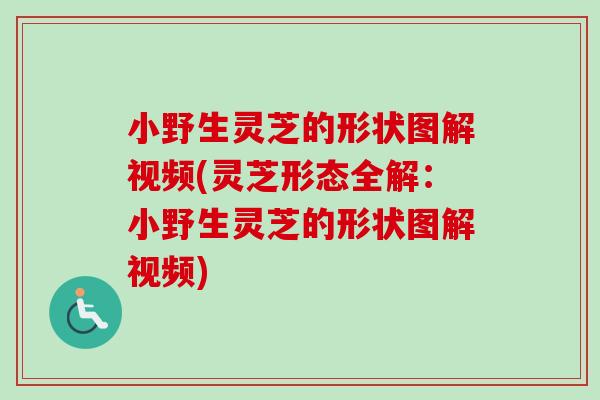 小野生灵芝的形状图解视频(灵芝形态全解:小野生灵芝的形状图解视频) 小野生灵芝的形状图解视频(灵芝形态全解:小野生灵芝的形状图解视频)
