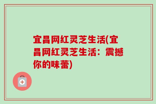 宜昌网红灵芝生活(宜昌网红灵芝生活:震撼你的味蕾) 宜昌网红灵芝生活(宜昌网红灵芝生活:震撼你的味蕾)