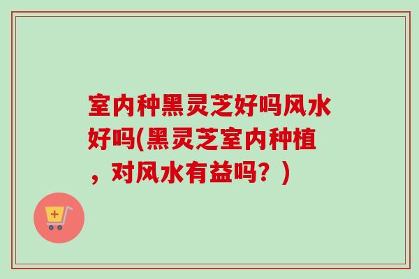 室内种黑灵芝好吗风水好吗(黑灵芝室内种植,对风水有益吗?) 室内种黑灵芝好吗风水好吗(黑灵芝室内种植,对风水有益吗?)