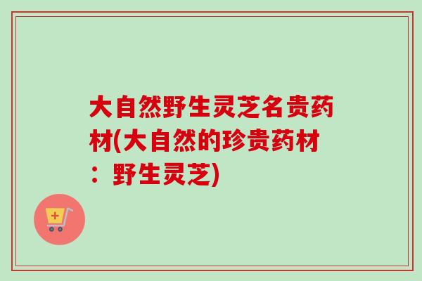 大自然野生灵芝名贵药材(大自然的珍贵药材:野生灵芝) 大自然野生灵芝名贵药材(大自然的珍贵药材:野生灵芝)