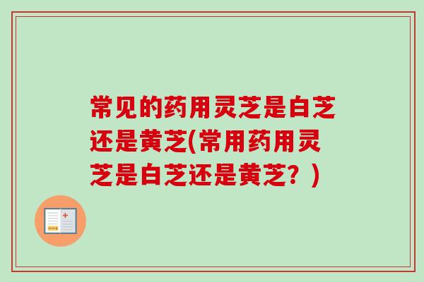 常见的药用灵芝是白芝还是黄芝(常用药用灵芝是白芝还是黄芝?) 常见的药用灵芝是白芝还是黄芝(常用药用灵芝是白芝还是黄芝?)